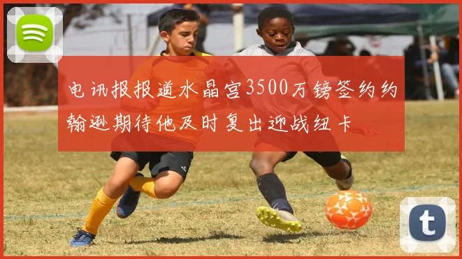 电讯报报道水晶宫3500万镑签约约翰逊期待他及时复出迎战纽卡