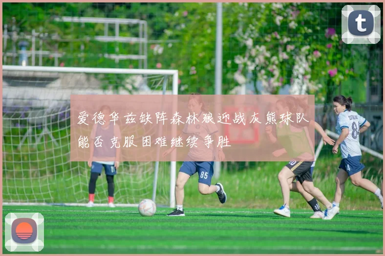 爱德华兹缺阵森林狼迎战灰熊球队能否克服困难继续争胜
